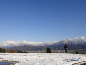 イロハ田んぼも雪化粧（22日14時半頃撮影）。里には雪は積もっていませんでした。 
