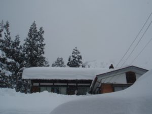 落下式の屋根の雪と落ちて貯まった雪がつながってしまった家も何軒が出てきています。